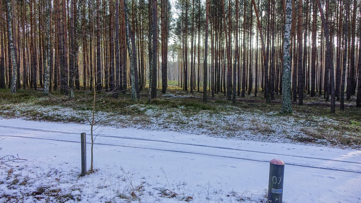 Styczeń w obiektywie - zdjęcie 27