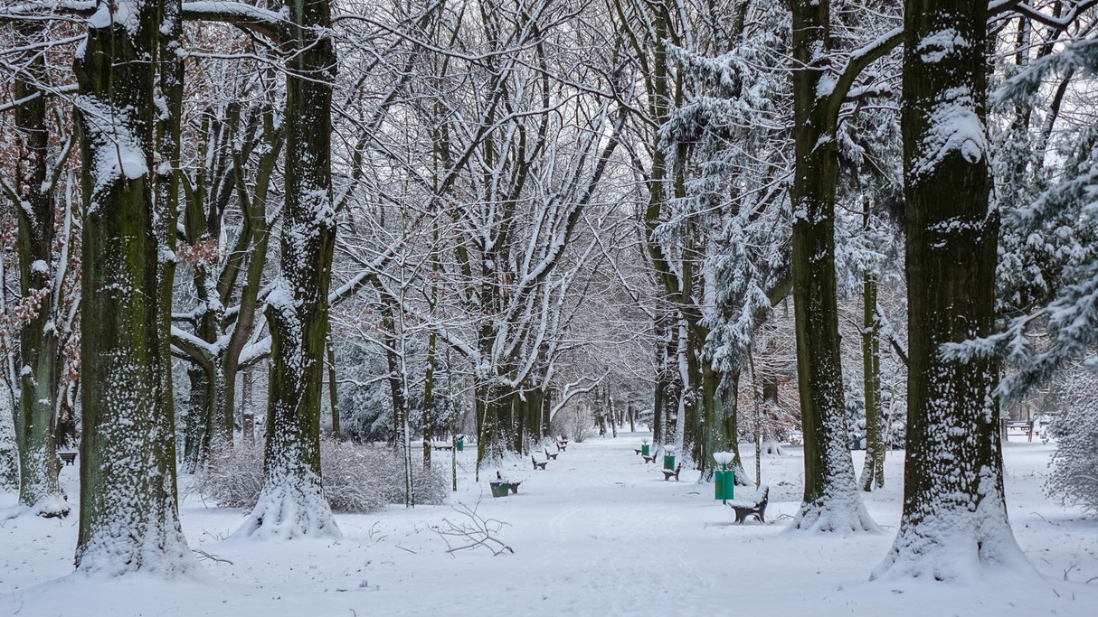 Styczeń w obiektywie - zdjęcie 6