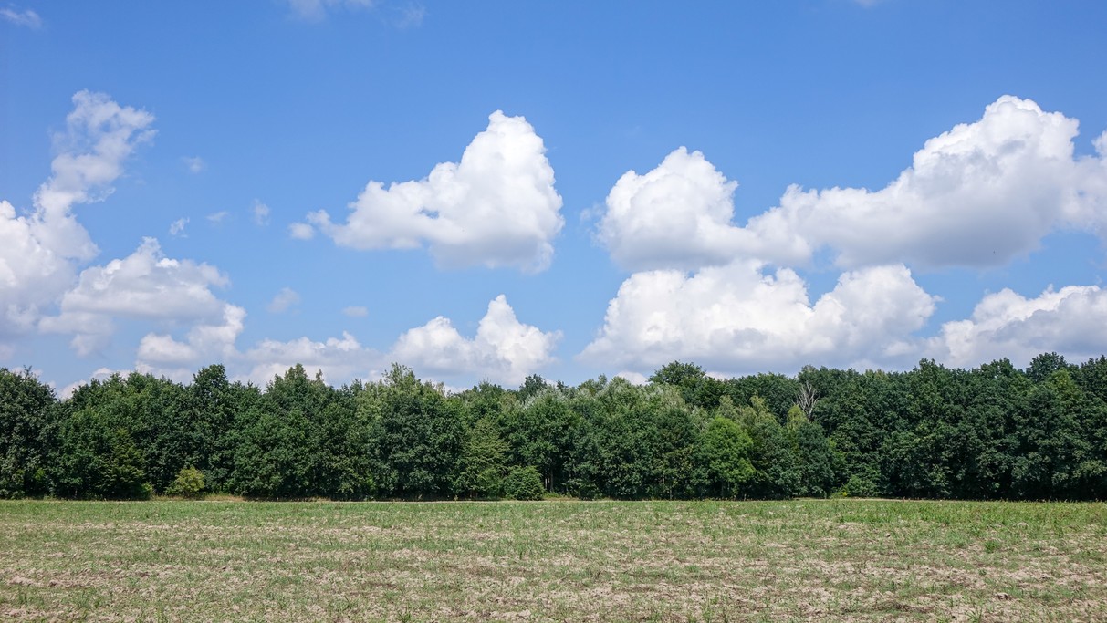 Lipiec w obiektywie - zdjęcie 53