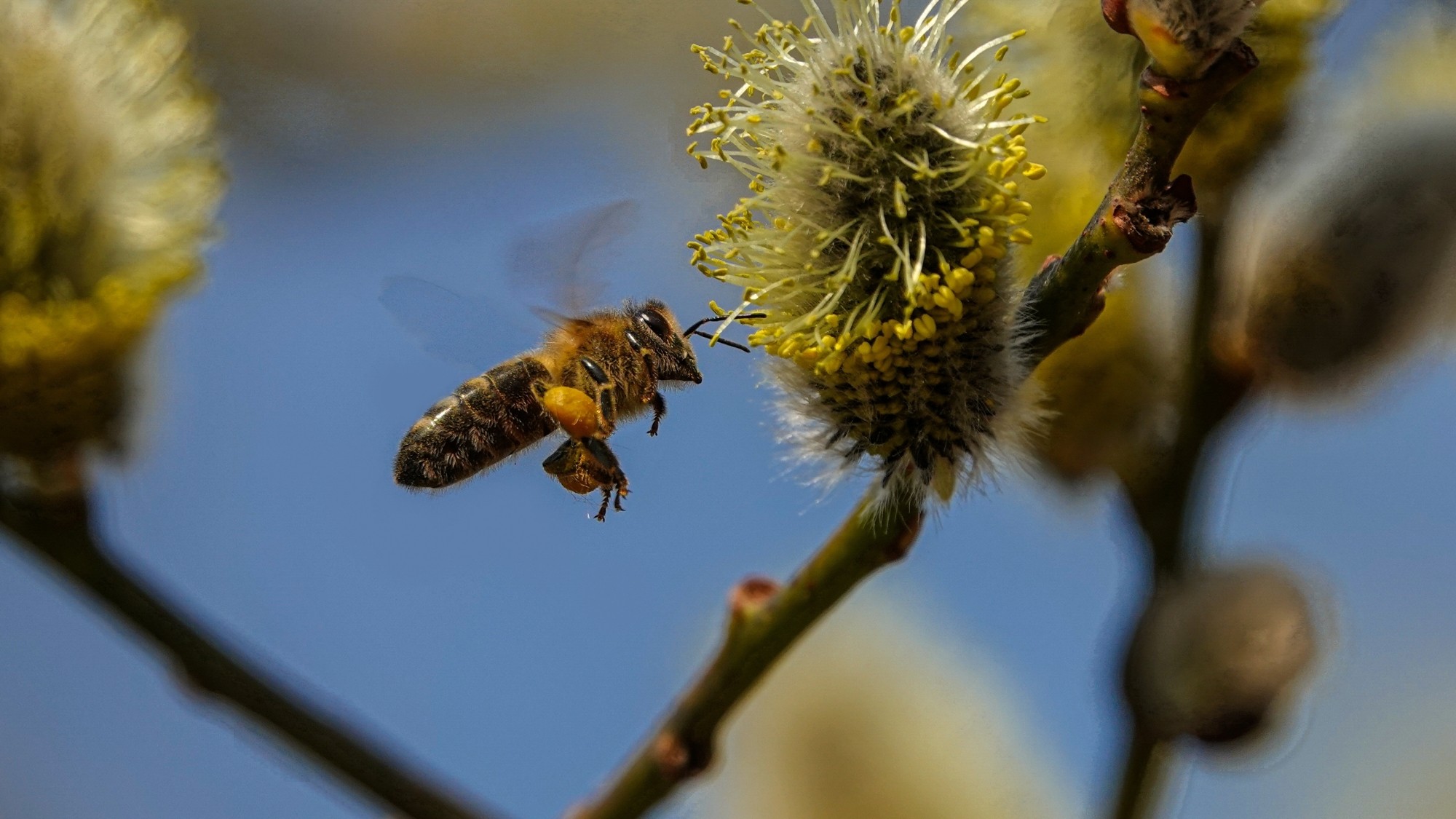 Marzec w obiektywie - zdjęcie 8