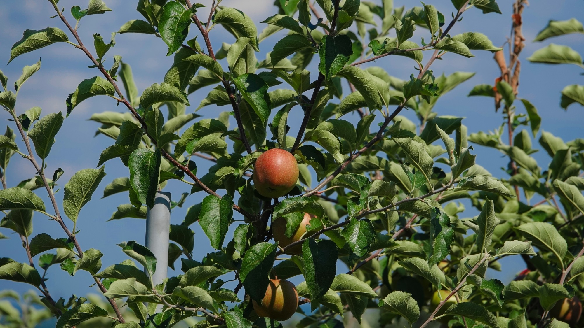 Od morza po góry - zdjęcie 23