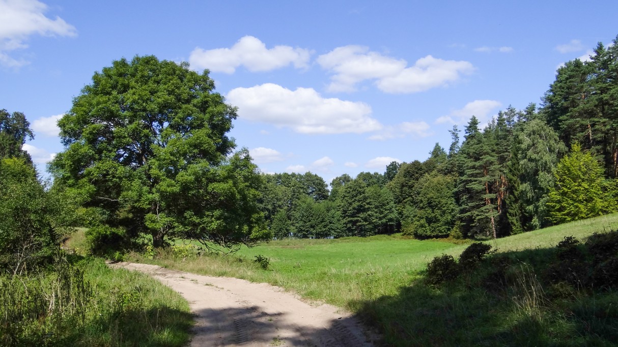 Piękno polskich krajobrazów - zdjęcie 34