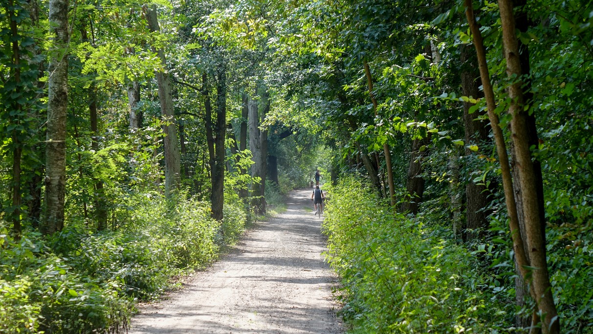 Sierpień w obiektywie - zdjęcie 4