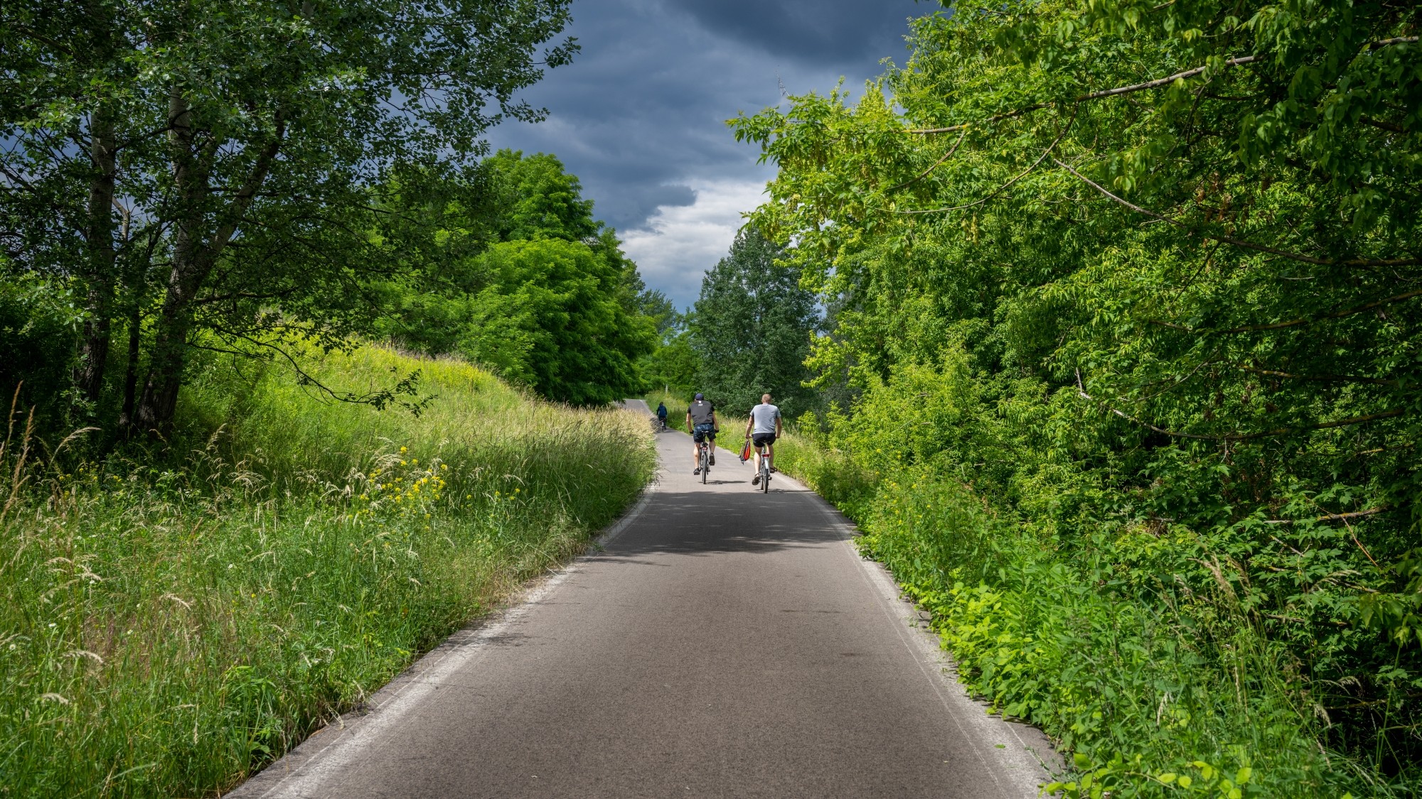 Lato na prowincji - zdjęcie 12