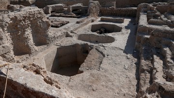 Archeolodzy odkryli winnicę sprzed 1500 lat