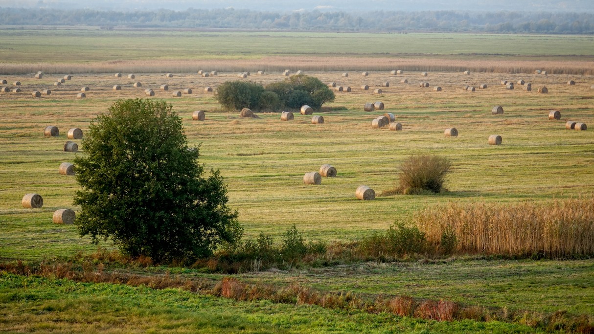 Październik w obiektywie - zdjęcie 52