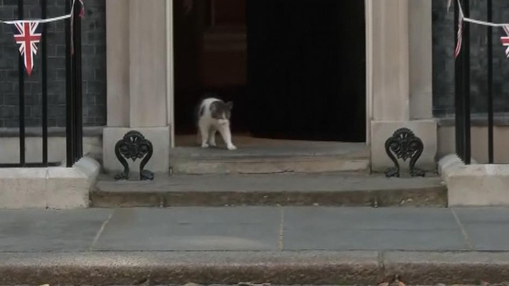 Wielka Brytania. Słynny kot Larry będzie mieszkał z czwartym premierem