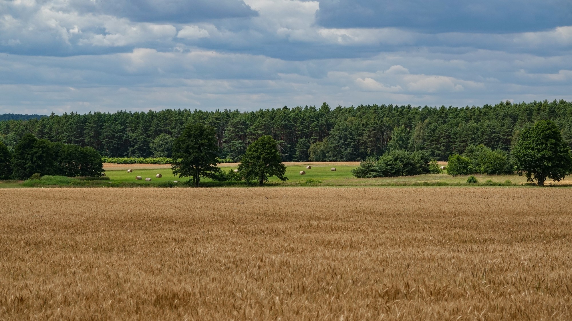 Podróż przez polską prowincję - zdjęcie 51