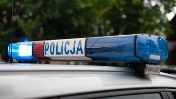 Policja trafiła na trop auta skradzionego aktorce. Części były w "dziupli" na Wilanowie