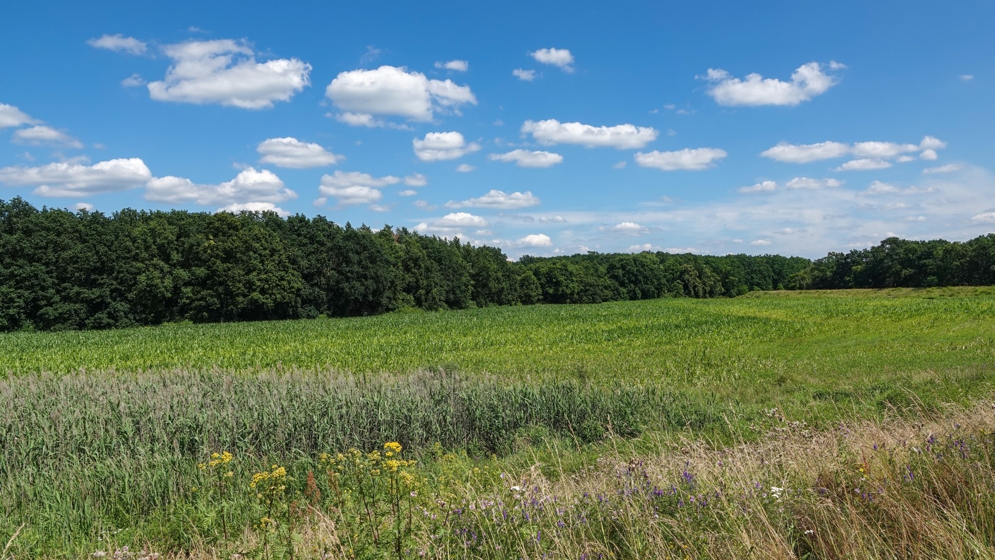 Podróż przez polską prowincję - zdjęcie 43