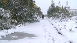 27.08.2017 09:29 Na Syberii spadł pierwszy śnieg. Czy to już początek zimy?