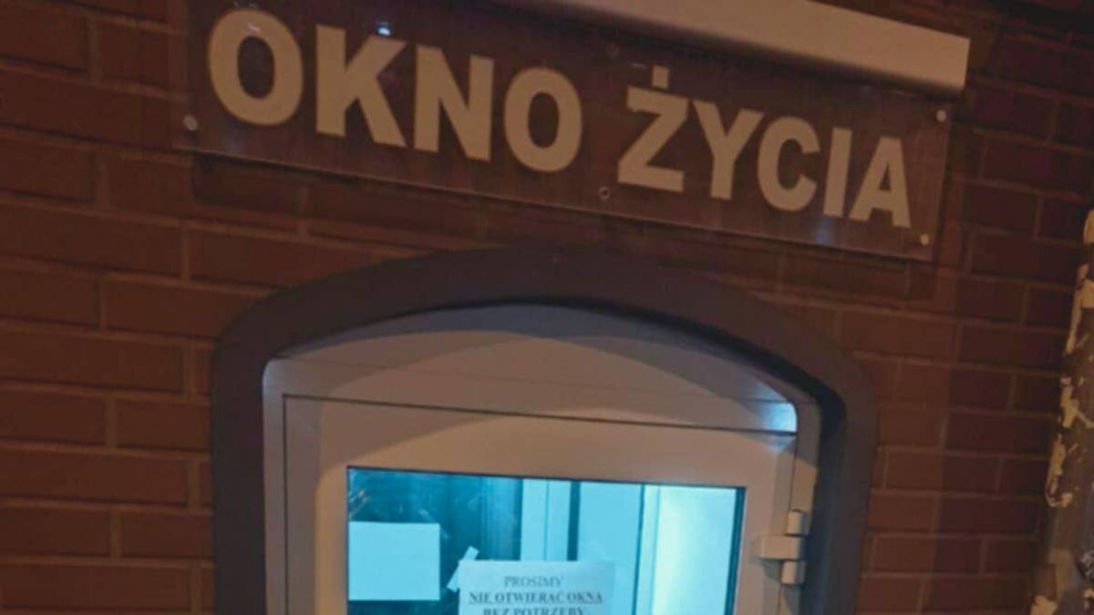 Nietypowe odkrycie w oknie życia. "Nic nas już nie zdziwi"