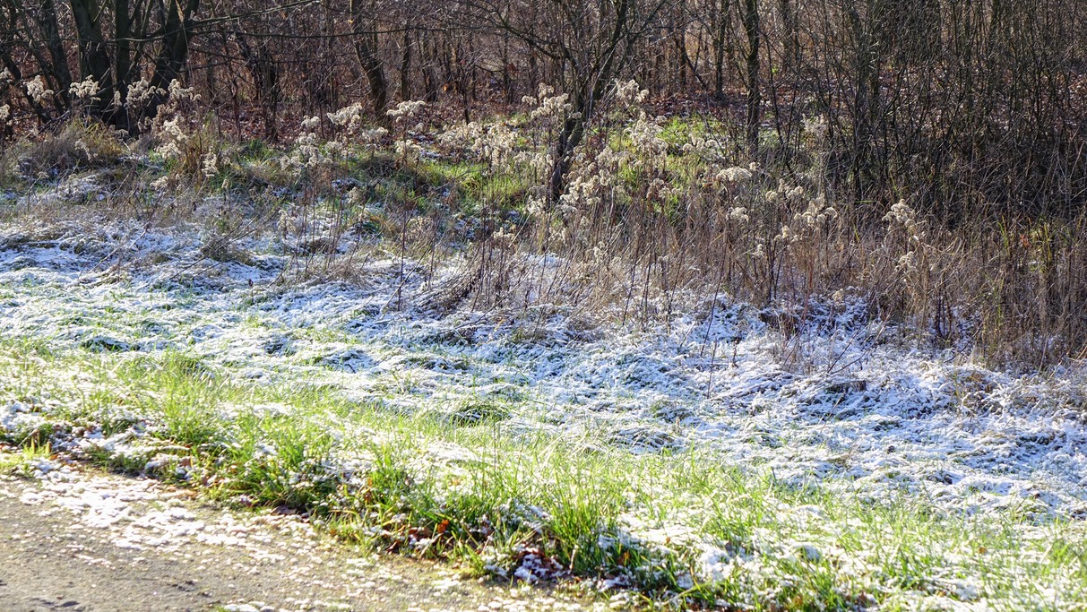 Grudzień w obiektywie - zdjęcie 29