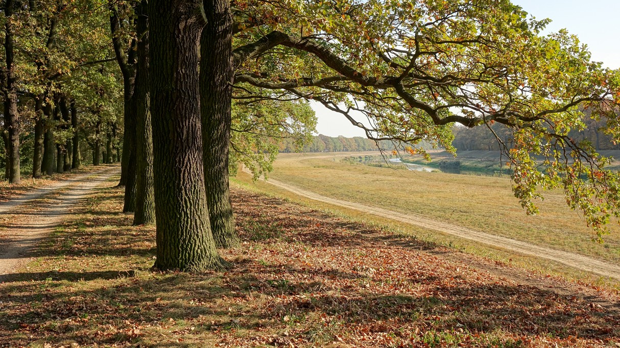 Jesienne krajobrazy za miastem - zdjęcie 58