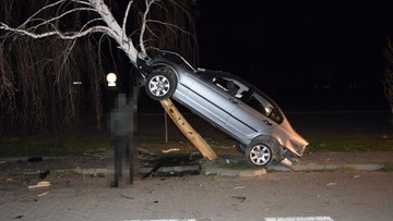 Pijany 21-latek "zaparkował" samochód na... brzozie. Cztery osoby trafiły do szpitala