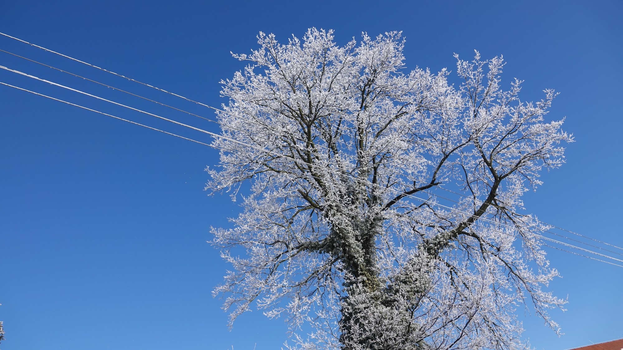 Kraina Narnii - zdjęcie 47