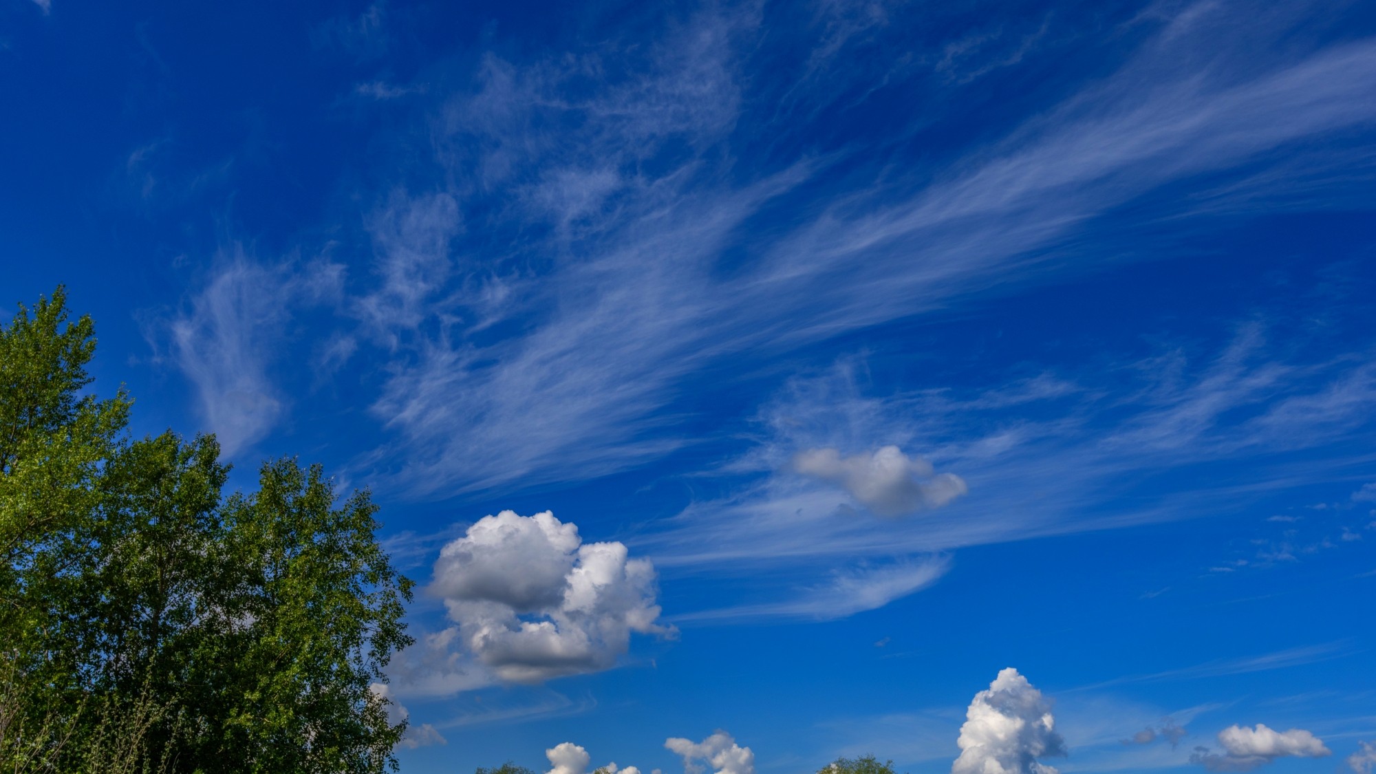 Wśród natury - zdjęcie 38