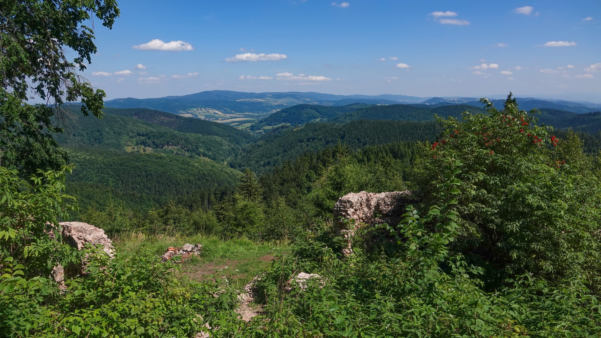 Góry Sowie, Suche i Kamienne - zdjęcie 15