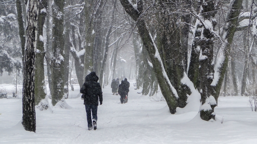 24.12.2017 14:00 Prognoza 16-dniowa: Kiedy do Polski przyjdzie prawdziwa zima?