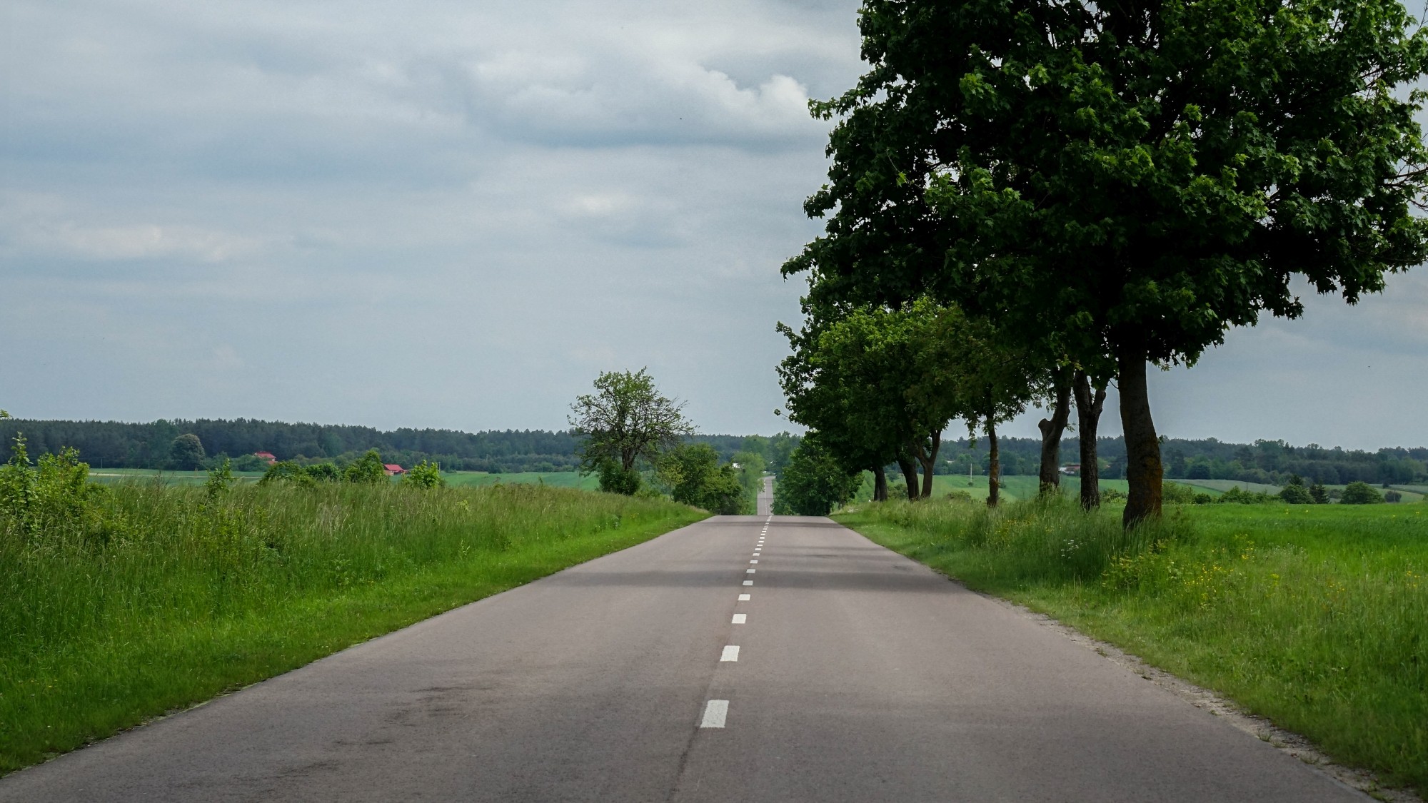 Maj w obiektywie - zdjęcie 66