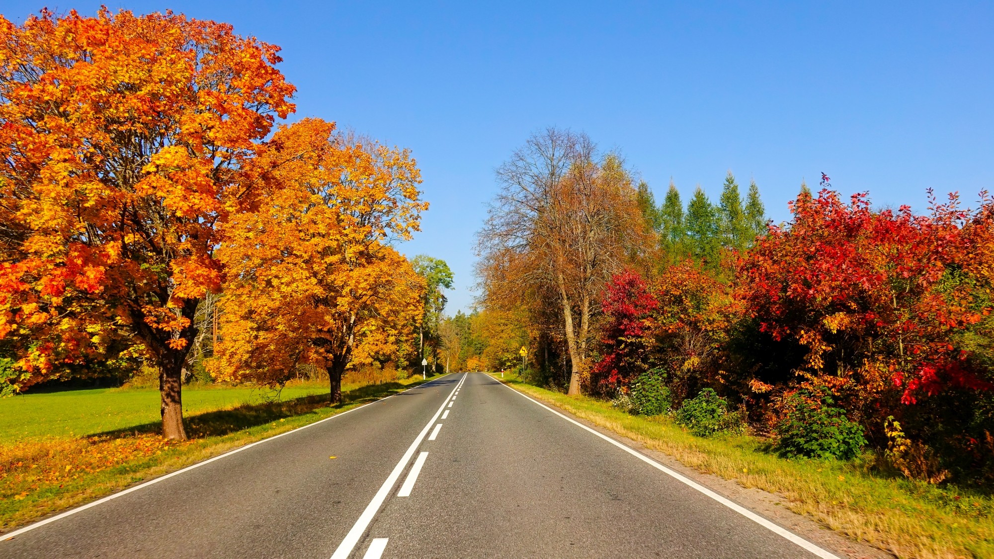 Kraina jesieni - zdjęcie 28