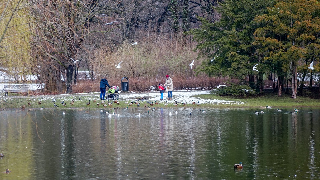 Nad morzem, jeziorami i rzekami - zdjęcie 53
