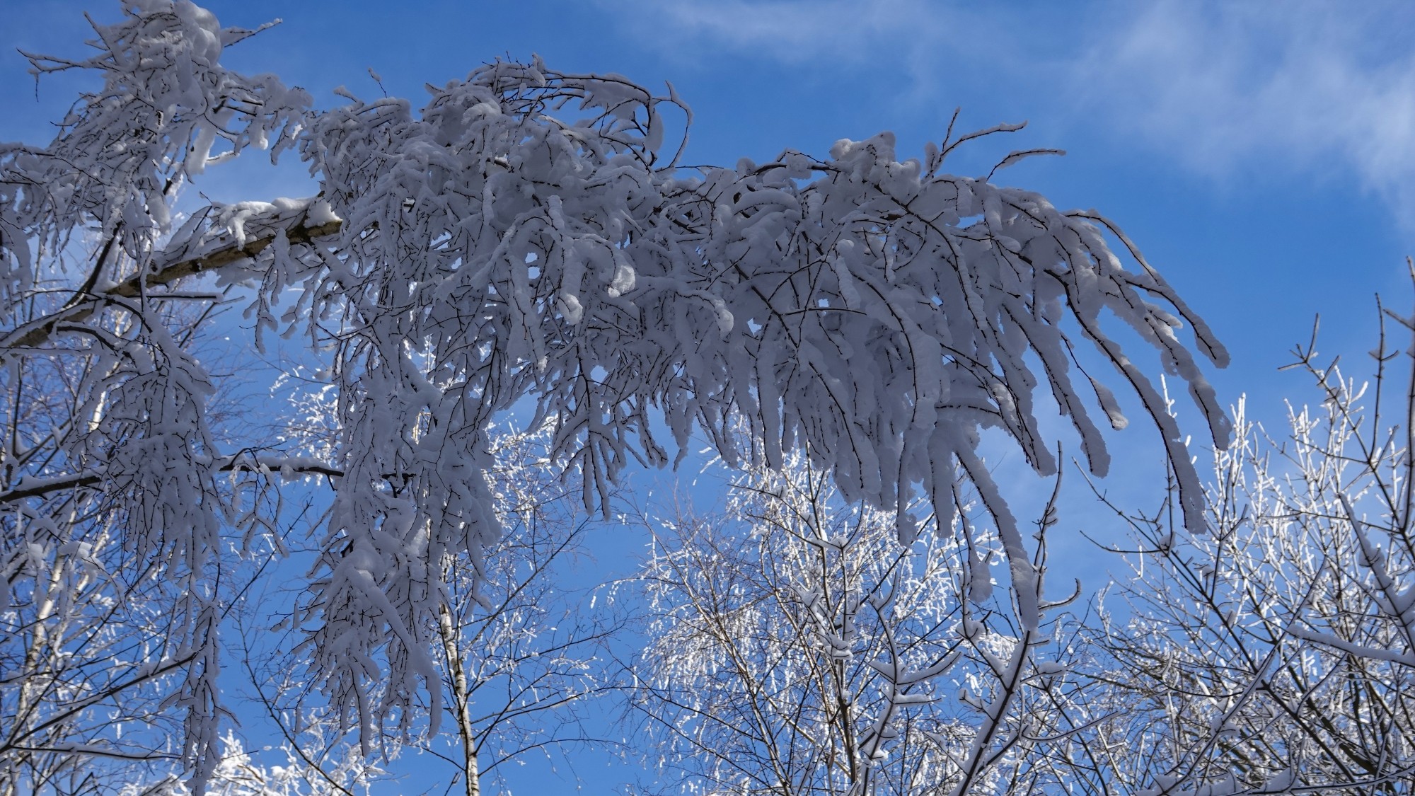 Kraina Narnii - zdjęcie 7