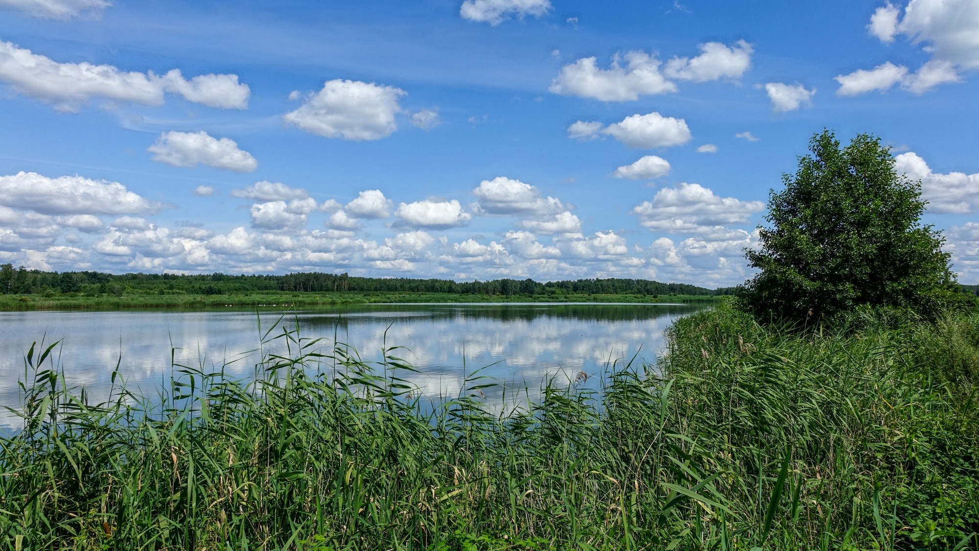 Lipiec w obiektywie - zdjęcie 11