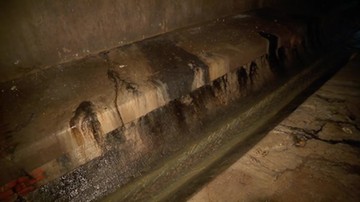 Po tym gruncie chodzili pierwsi łodzianie 