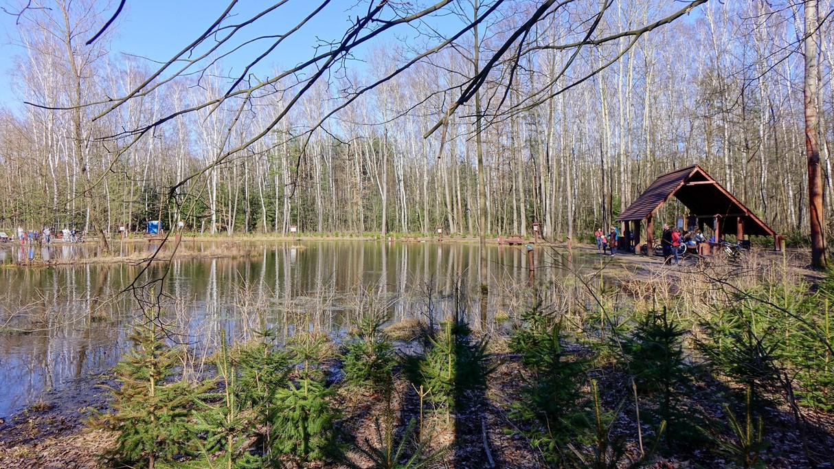 Kwiecień w obiektywie - zdjęcie 32