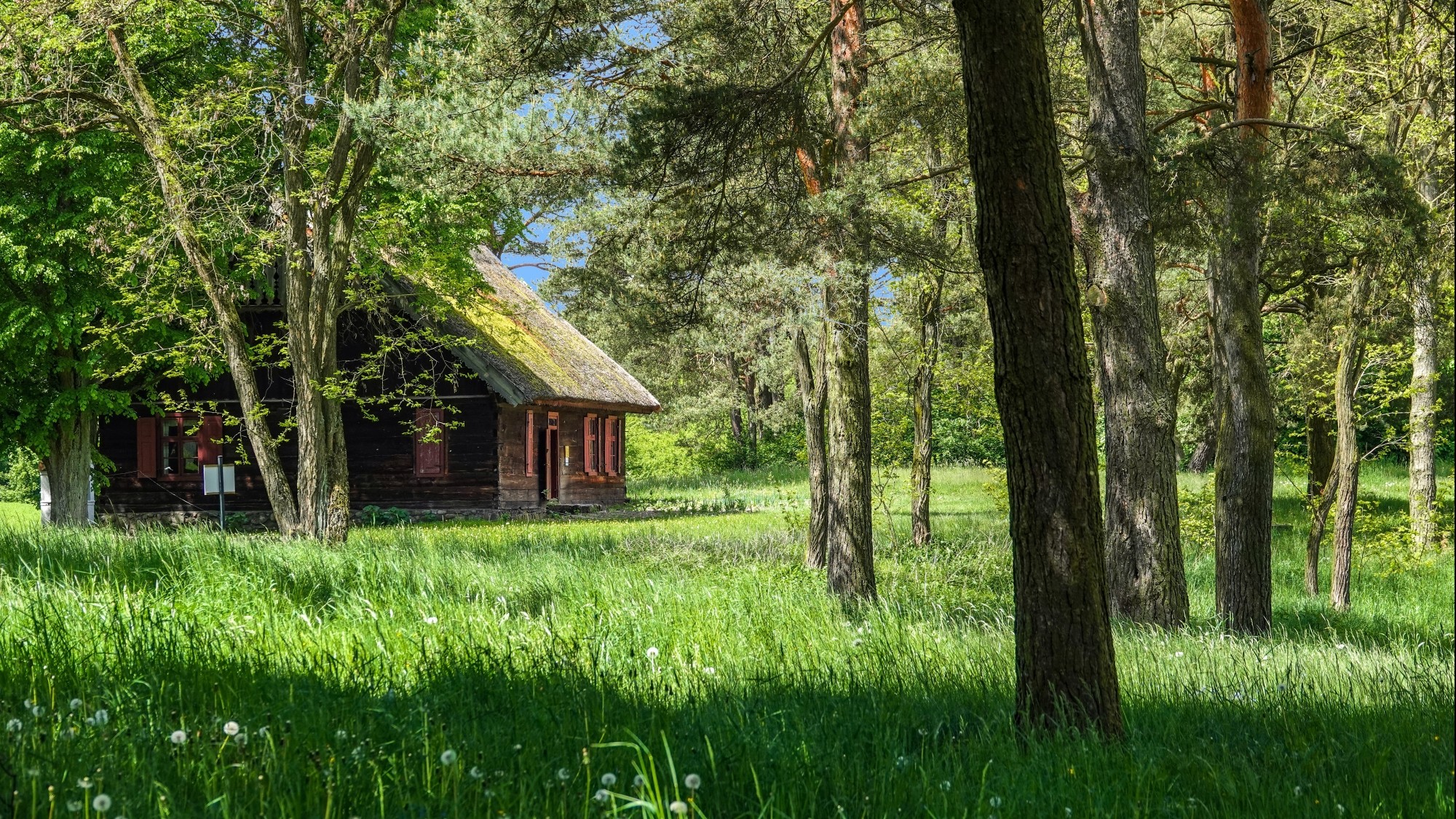 Wakacyjne podróże - zdjęcie 47
