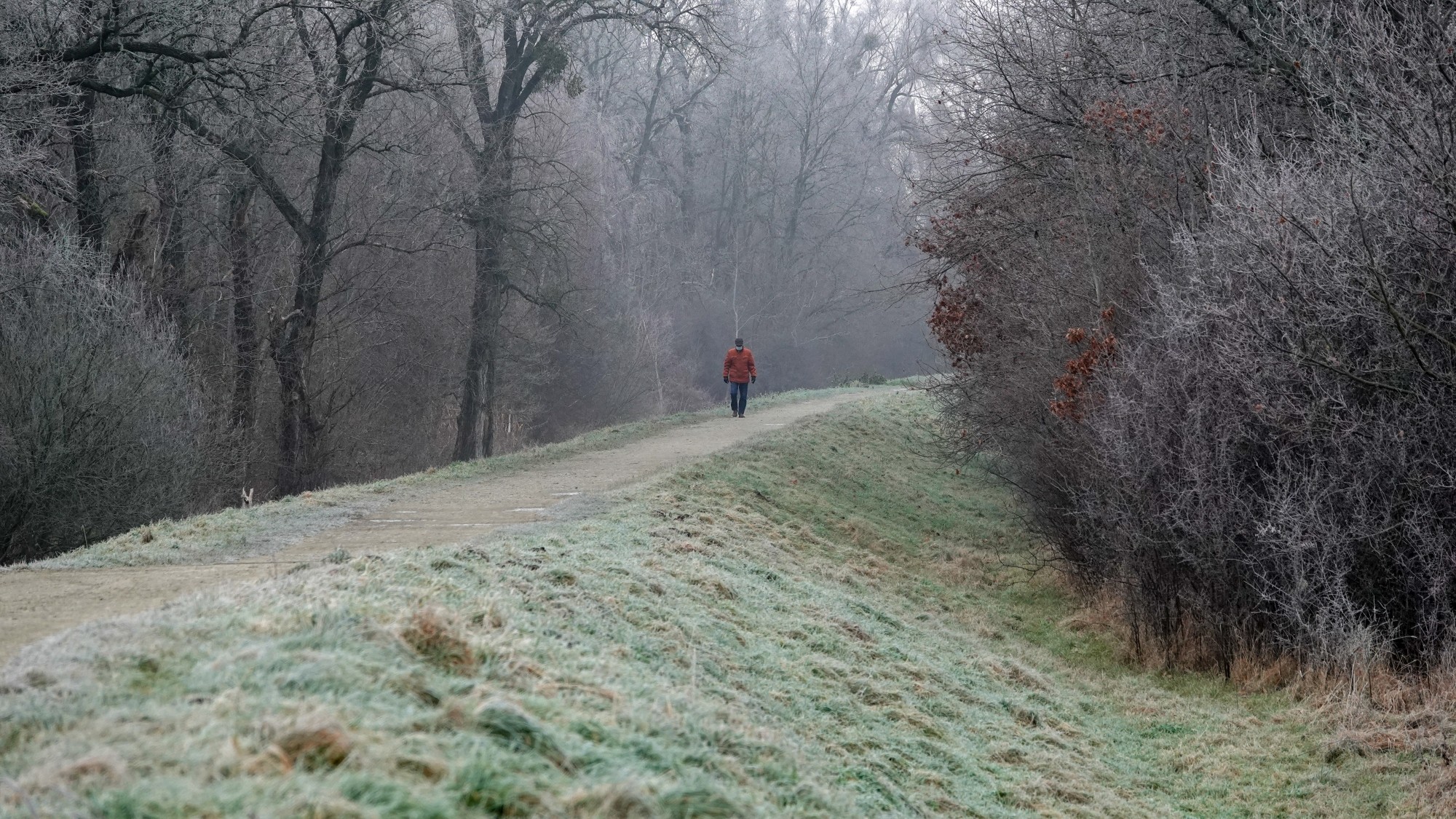 Szron pod lupą - zdjęcie 45