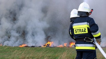 Ponad 1600 pożarów spowodowanych wypalaniem suchych traw. "Ich sprawcą w 94 proc. jest człowiek"