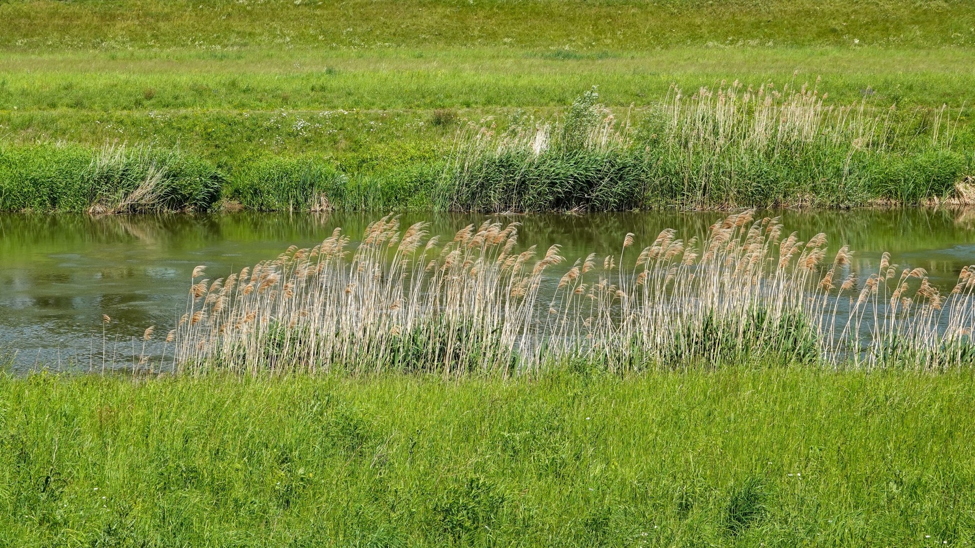 Całe piękno późnej wiosny - zdjęcie 23