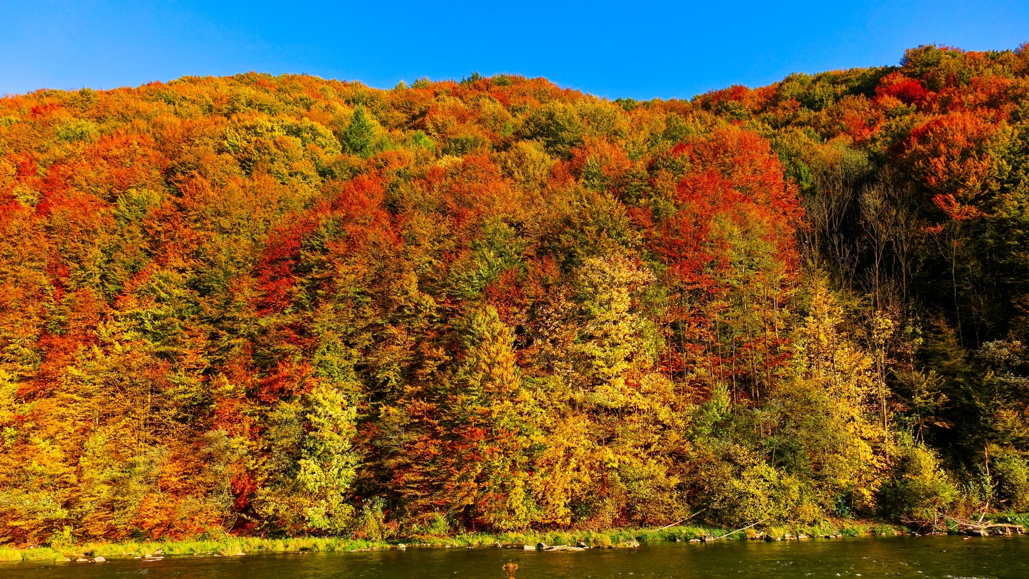 Kraina jesieni - zdjęcie 34