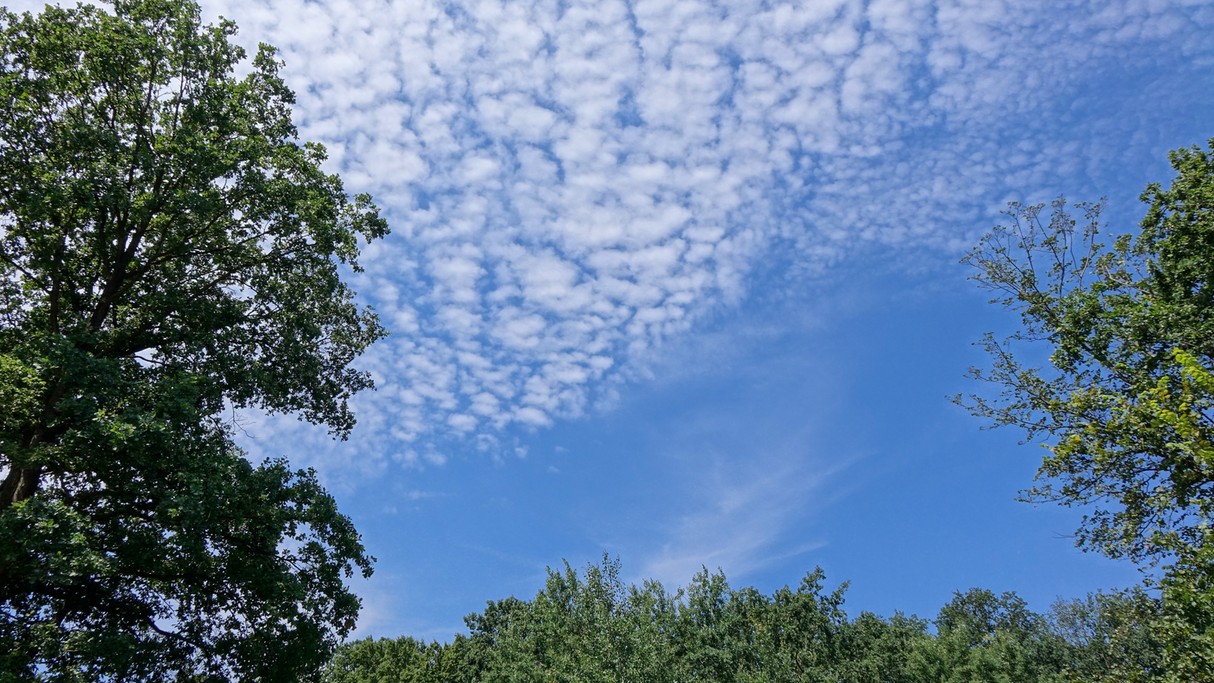 Czerwiec w obiektywie - zdjęcie 24