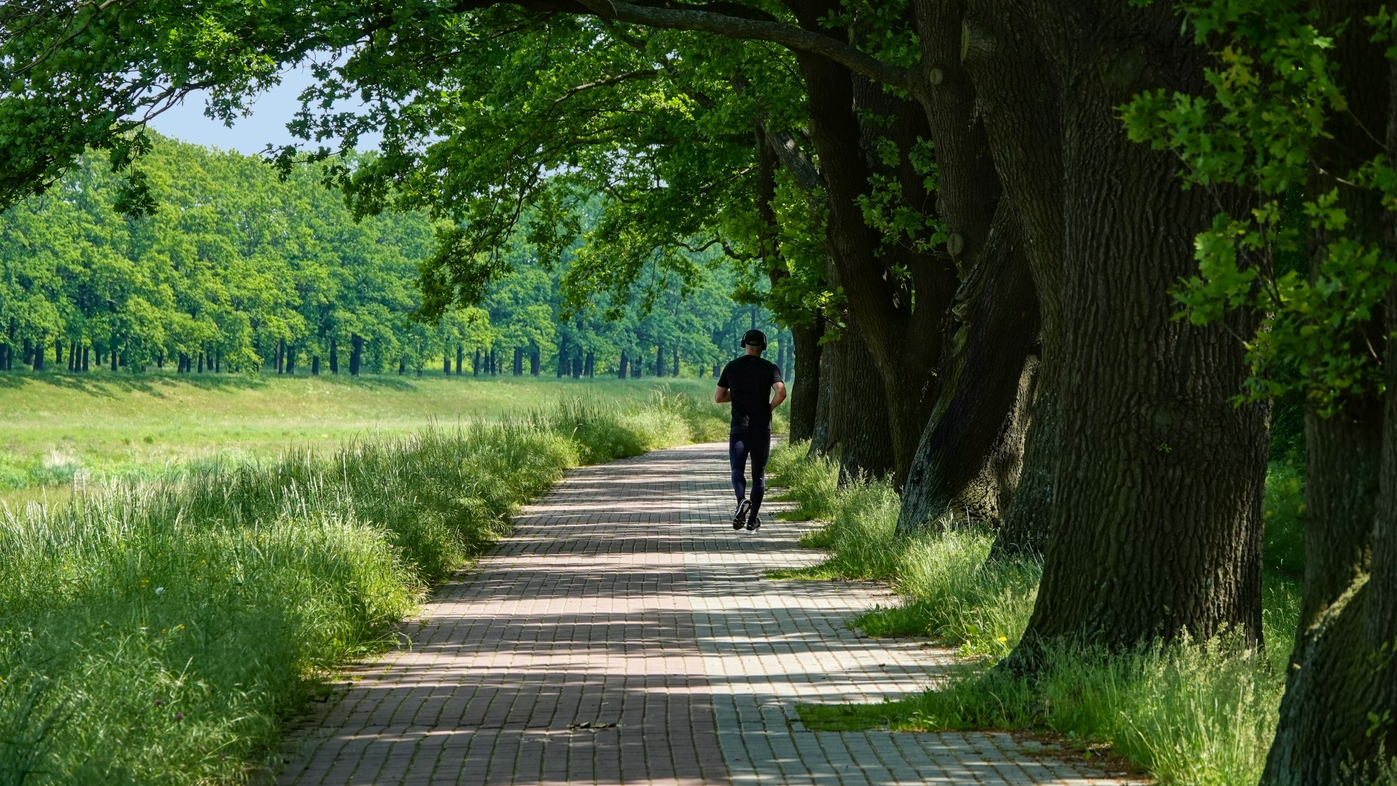 Uroki zielonej pory roku - zdjęcie 41