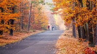 24.10.2019 11:00 Przed nami ostatni tak ciepły weekend w tym roku. Zobacz, jakimi temperaturami pożegnamy babie lato