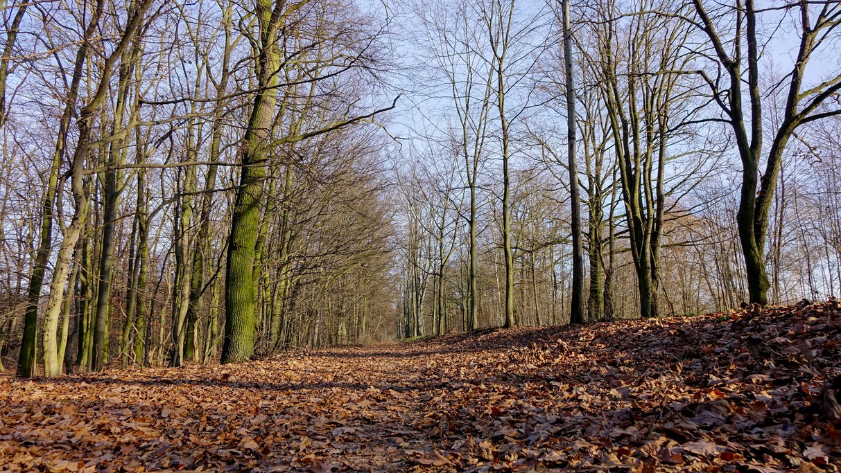 Grudzień w obiektywie - zdjęcie 31