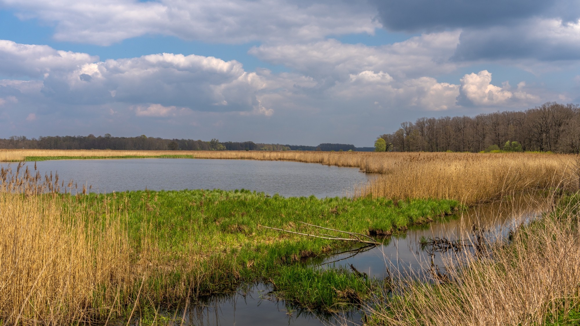 Wiosenna opowieść - zdjęcie 14