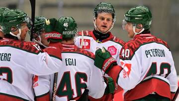 Szwoch przed finałem LM w hokeju na lodzie: Większe szanse na zwycięstwo ma Frolunda