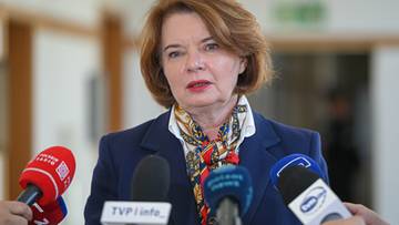 Sędzia uzasadnił wydanie listu żelaznego Romanowskiemu. "Lepsza decyzja"