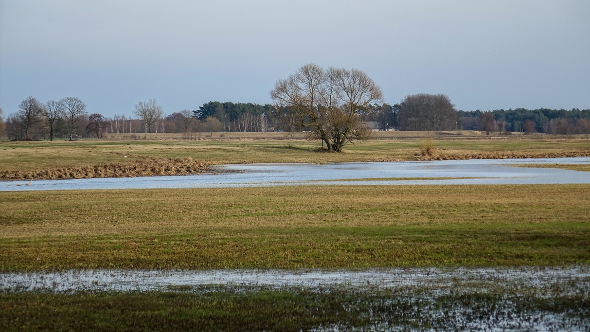 Marzec w obiektywie - zdjęcie 46