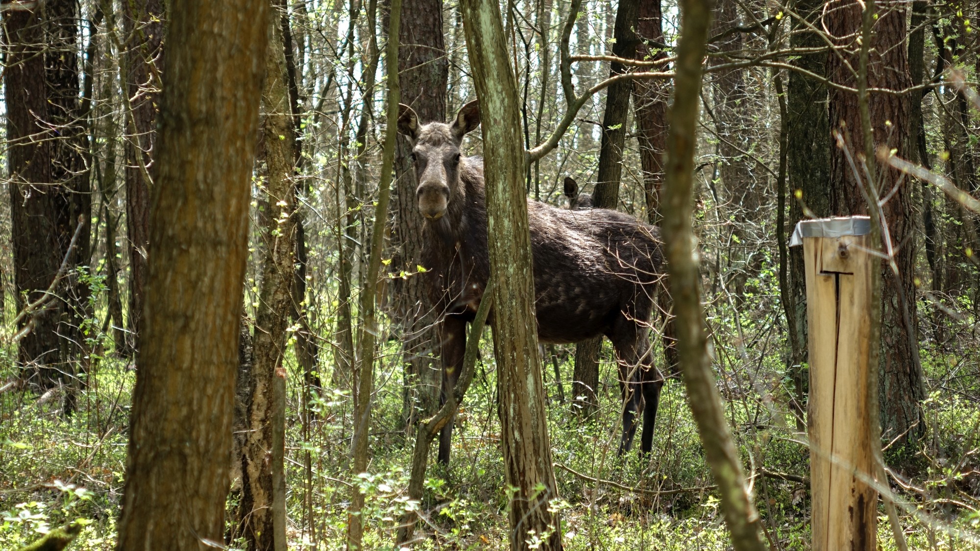 Polskie krajobrazy w 2019 roku - zdjęcie 25
