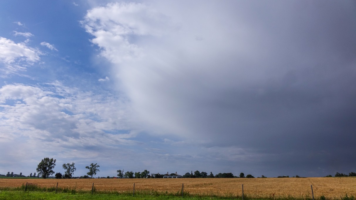 Czerwiec w obiektywie - zdjęcie 41