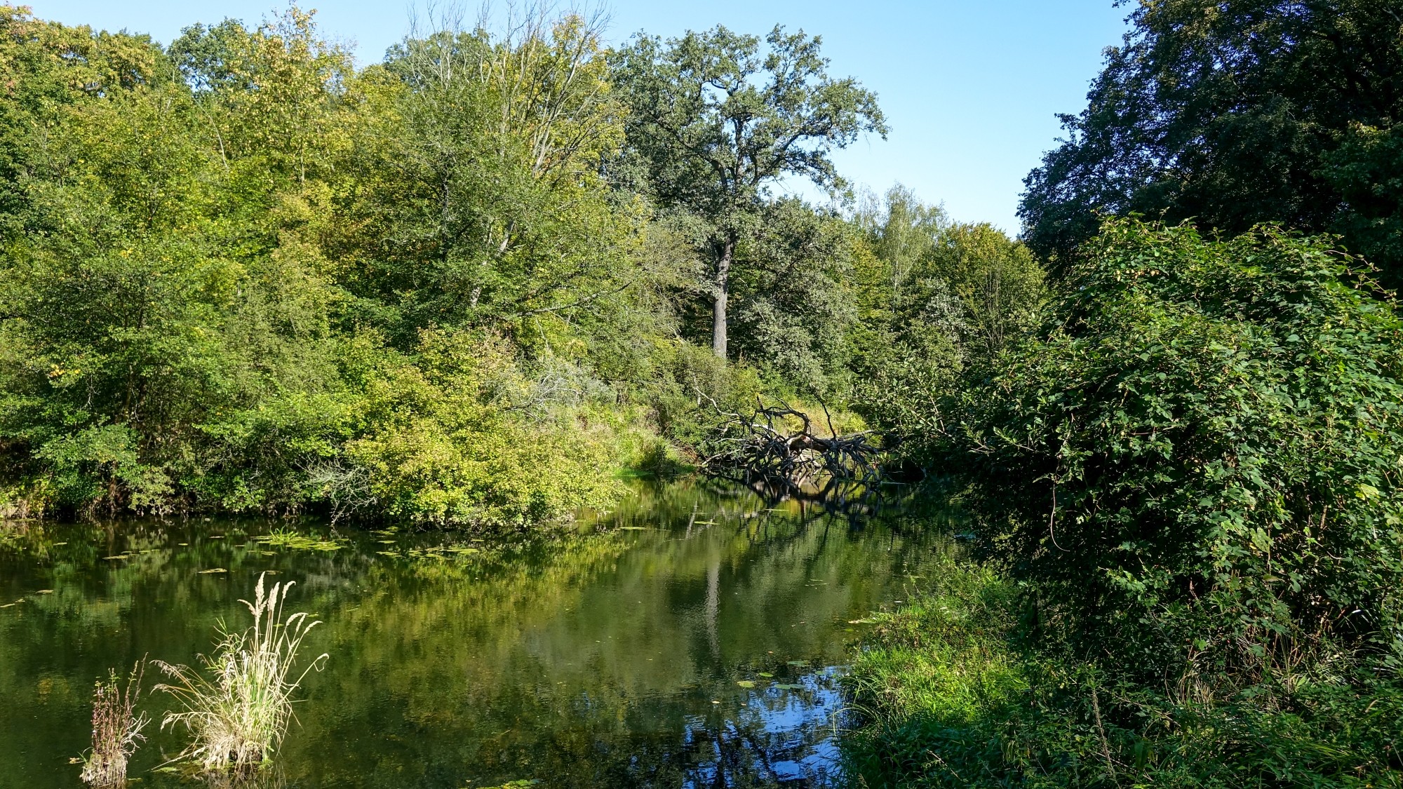 Późne lato na łonie natury - zdjęcie 33