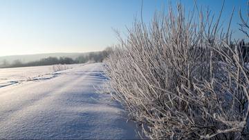Polska na skraju układu niżów. Sprawdź prognozę pogody na najbliższe dni