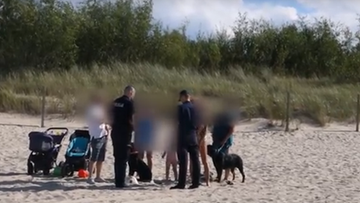 Pies pogryzł 8-letnie dziecko na plaży w Świnoujściu. Właścicielka nie chciała przyjąć mandatu