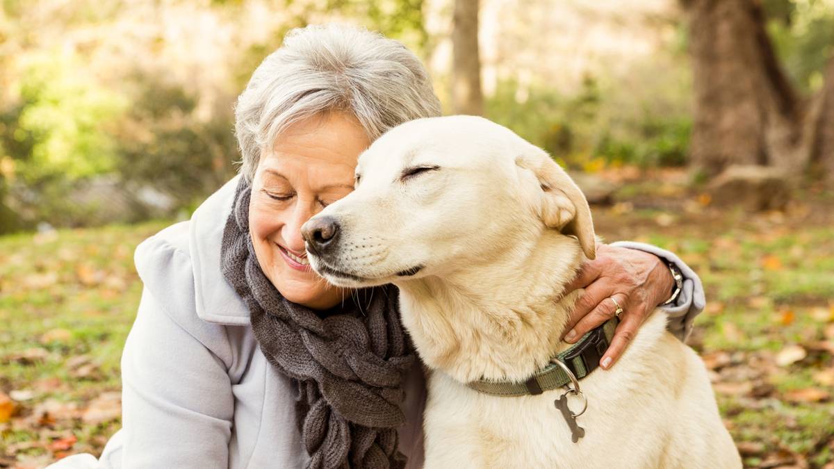 Radosne towarzystwo na długie lata. Psy idealne dla seniorów