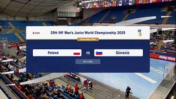 Polska - Słowenia. Skrót meczu
